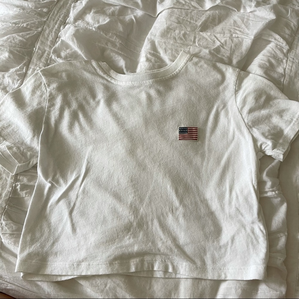 Brandy Melville flag crop top